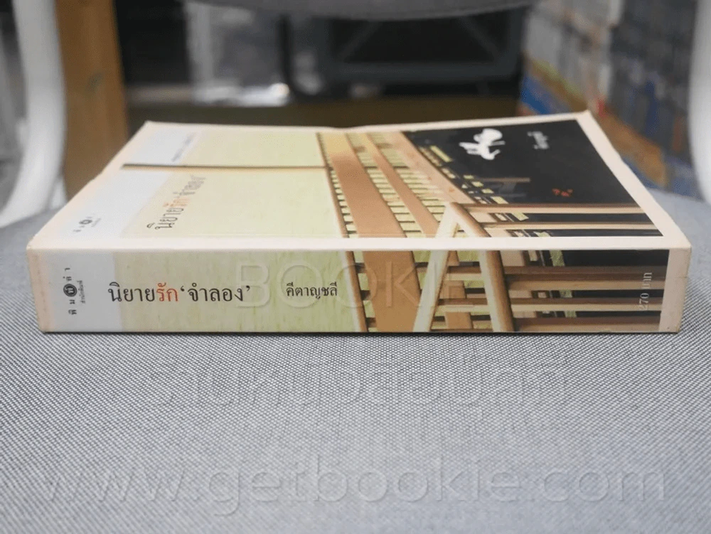นิยายรัก จำลอง - คีตาญชลี รูปที่ 2