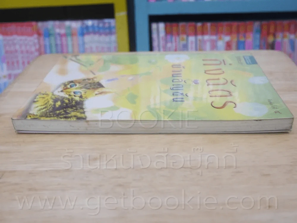 บ้านอัญชัน - กิ่งฉัตร รูปที่ 3