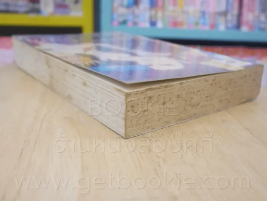 บุพเพสิเน่หา + เสน่หานางโจร 2 เล่ม ซีรีย์ชุด ชายิกาในดวงใจ - อรอร รูปที่ 5