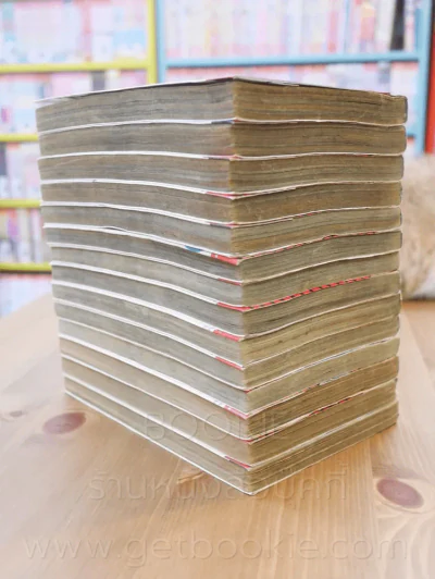 บ้านพักอลเวง 14 เล่มจบ รูปที่ 5