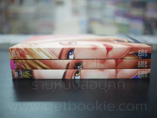 บันทึกของตุ๊ด เล่ม 1-3 รูปที่ 2