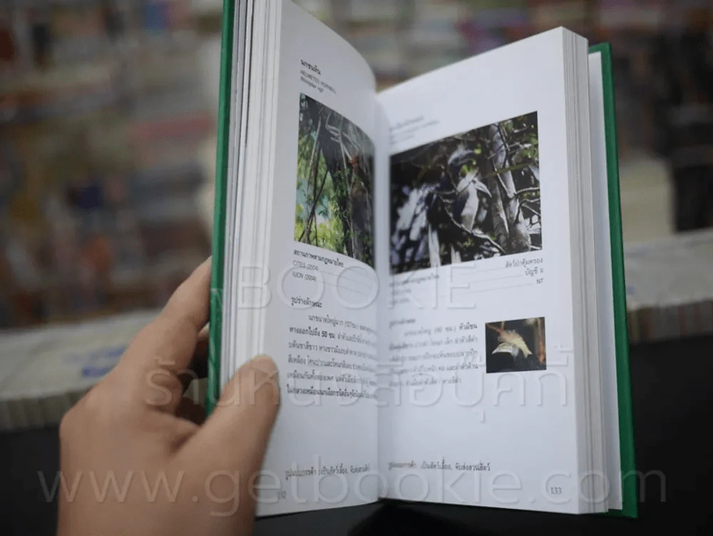คู่มือจำแนกสัตว์ป่า รูปที่ 7