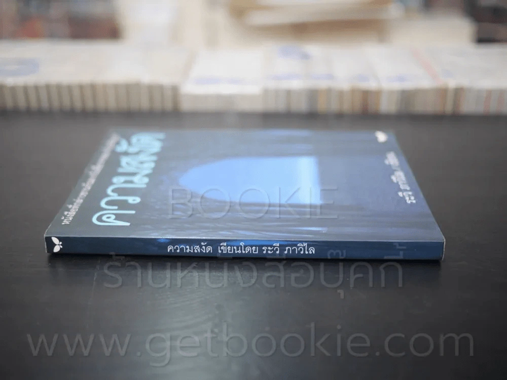 ความสงัด - ระวี ภาวิไล รูปที่ 2