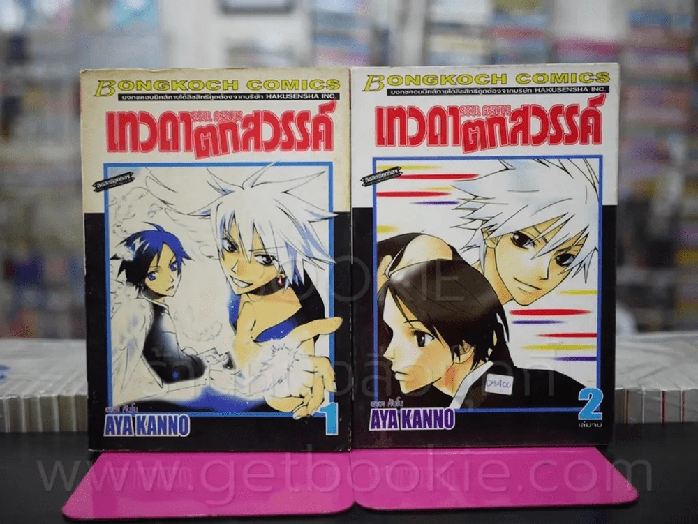 เทวดาตกสวรรค์ 2 เล่มจบ รูปที่ 1