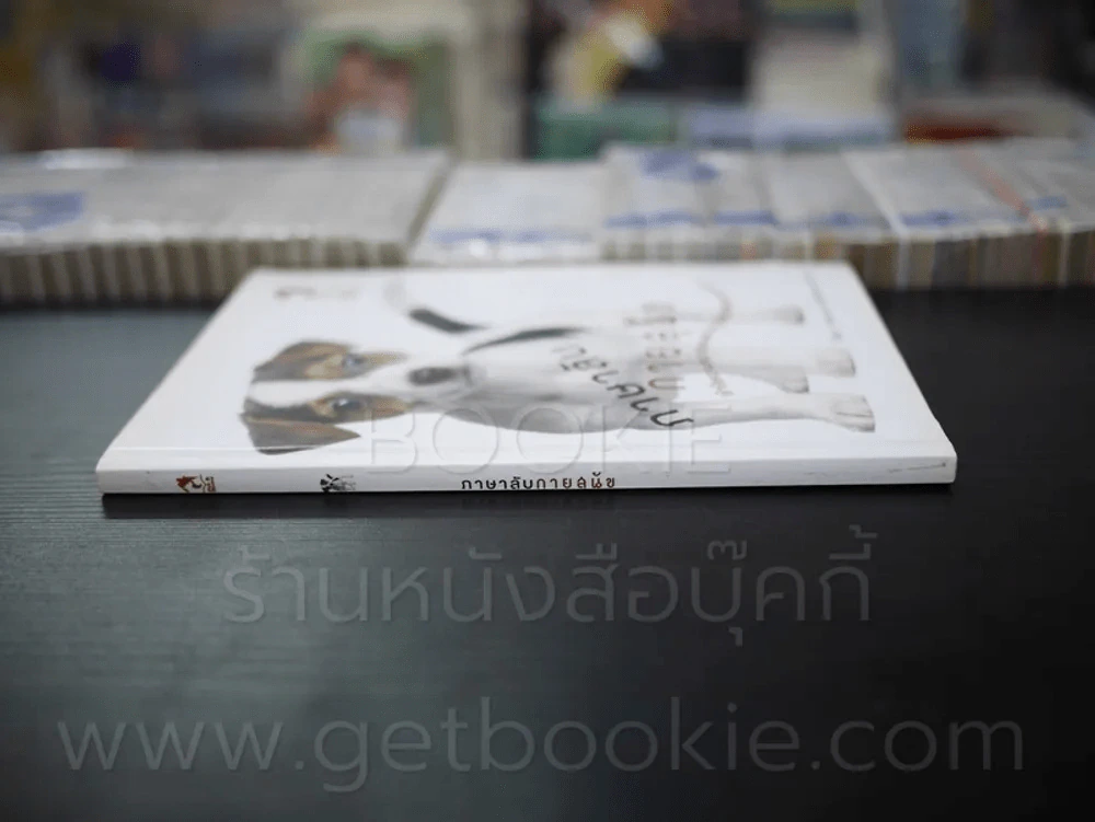 ภาษาลับกายสุนัข รูปที่ 2