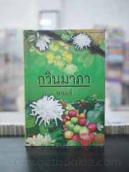 กวินมาภา - แอลลี่ รูปที่ 1
