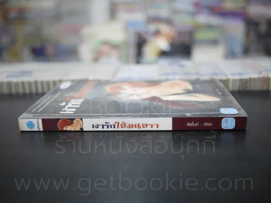 เงารักใต้มนตรา - ดีพไนท์ รูปที่ 2