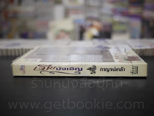 เมียบังเอิญ - กาญจน์เกล้า รูปที่ 2