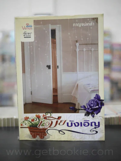 เมียบังเอิญ - กาญจน์เกล้า รูปที่ 1