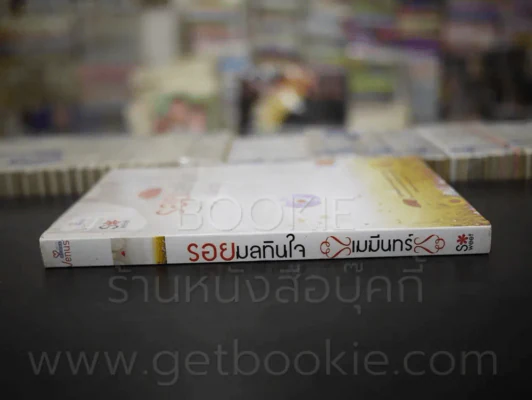 รอยมลทินใจ - เมมีนทร์ รูปที่ 2