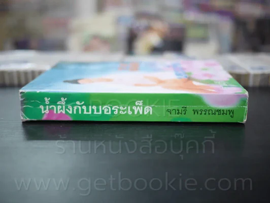 น้ำผึ้งกับบอระเพ็ด - จามรี พรรณชมพู รูปที่ 2