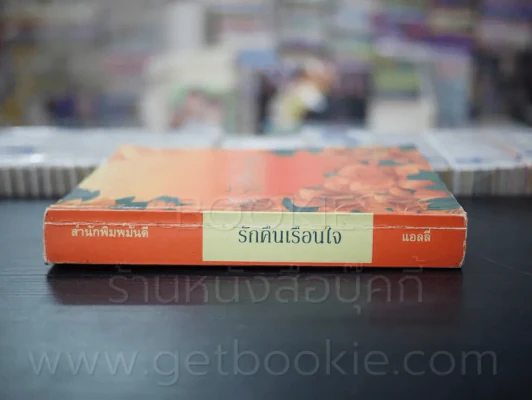 รักคืนเรือนใจ - แอลลี่ รูปที่ 2