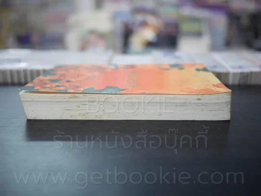 รักคืนเรือนใจ - แอลลี่ รูปที่ 3