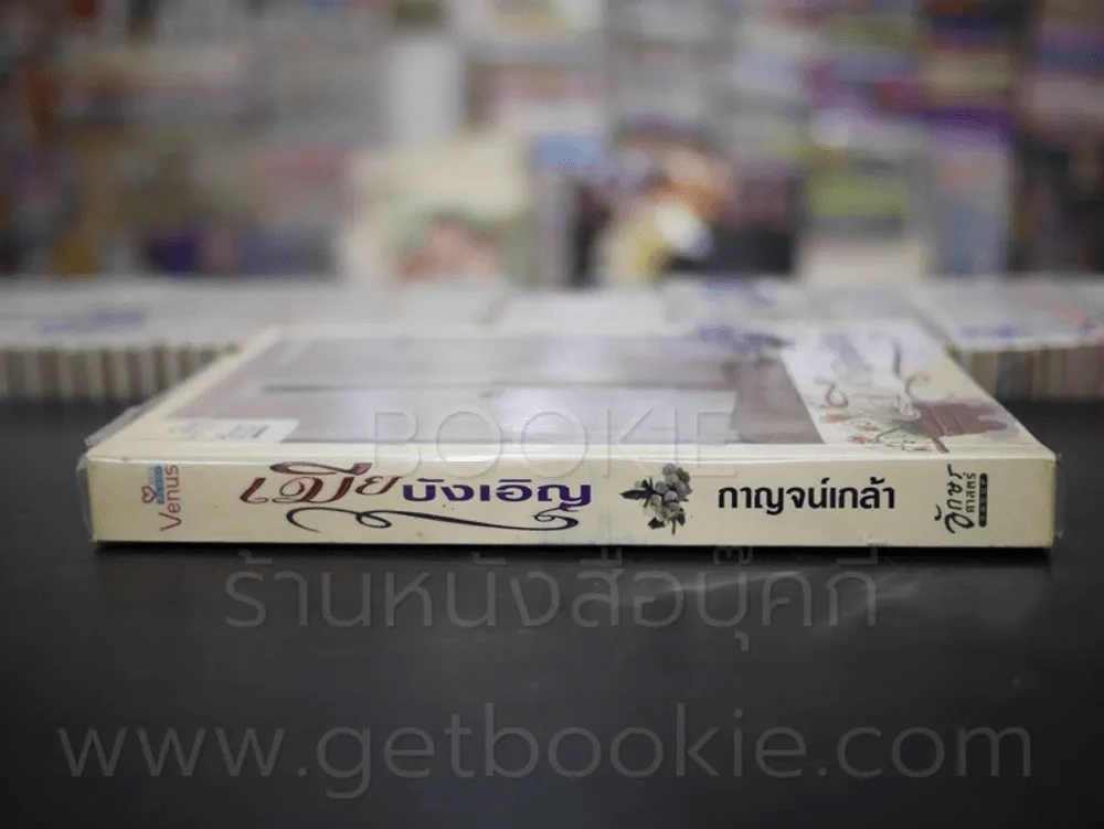 เมียบังเอิญ - กาญจน์เกล้า รูปที่ 2