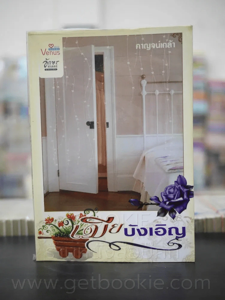 เมียบังเอิญ - กาญจน์เกล้า รูปที่ 1