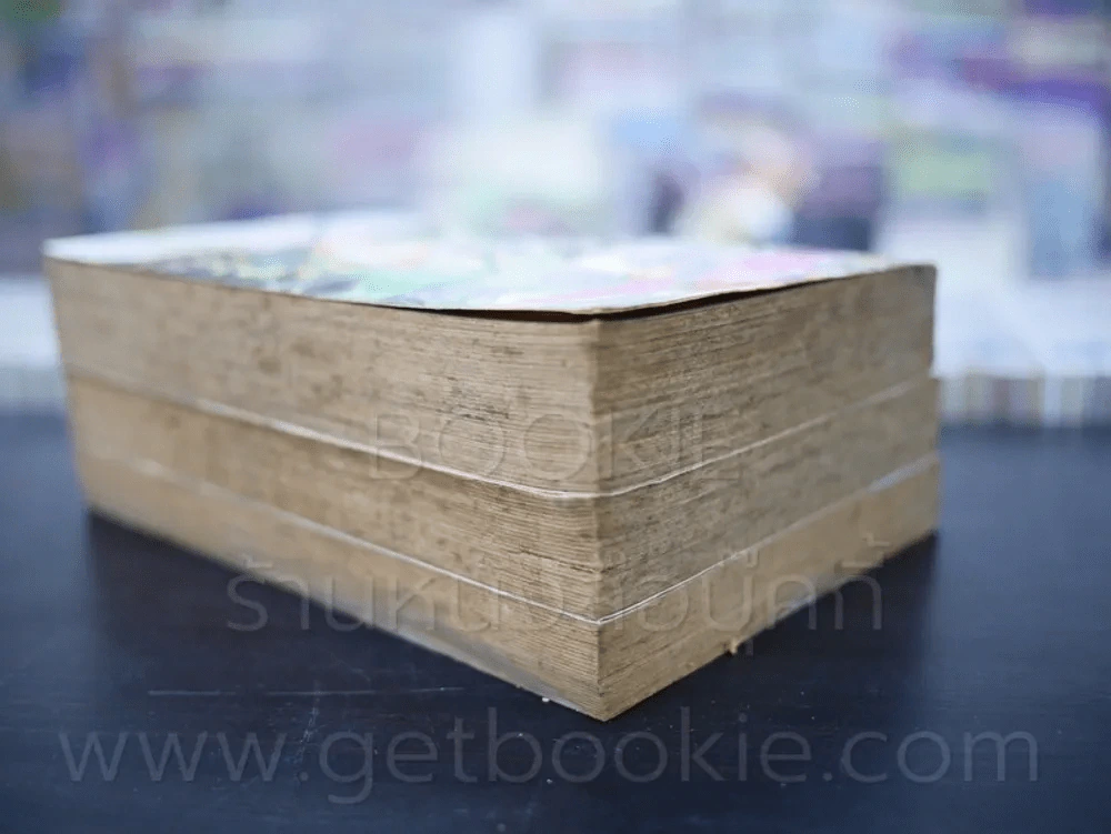 กลับชาติมาเพี้ยน เล่ม 1-3 (เล่ม 3 จบตอนปีศาจหิมะ) รูปที่ 5