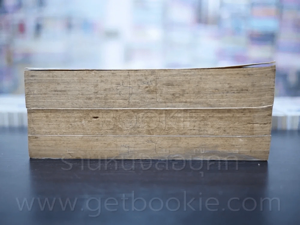 กลับชาติมาเพี้ยน เล่ม 1-3 (เล่ม 3 จบตอนปีศาจหิมะ) รูปที่ 3