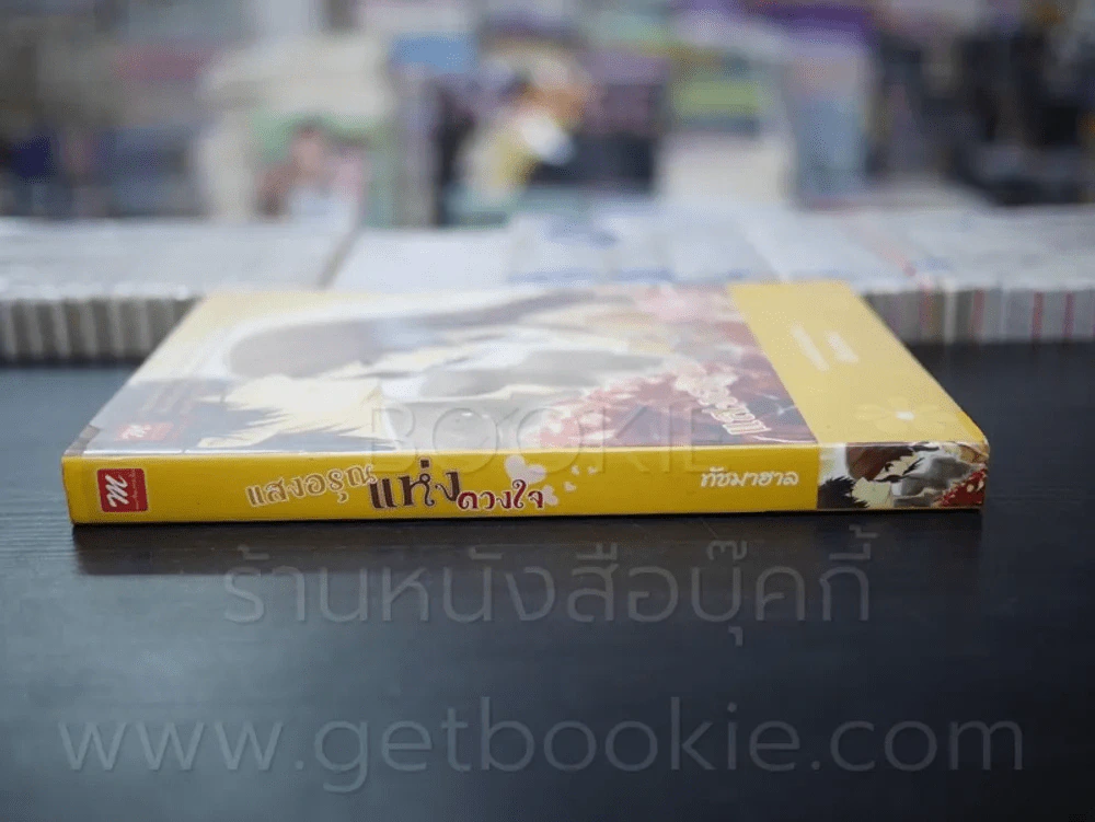 แสงอรุณแห่งดวงใจ - ทัชมาฮาล รูปที่ 2