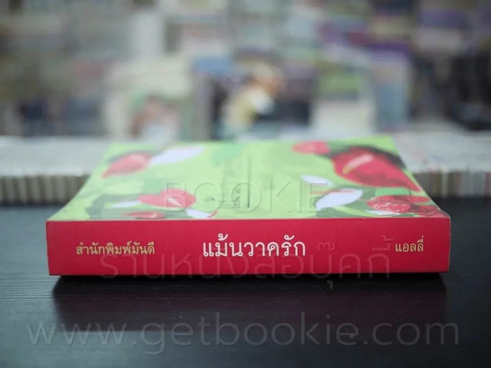 แม้นวาดรัก - แอลลี่ รูปที่ 2