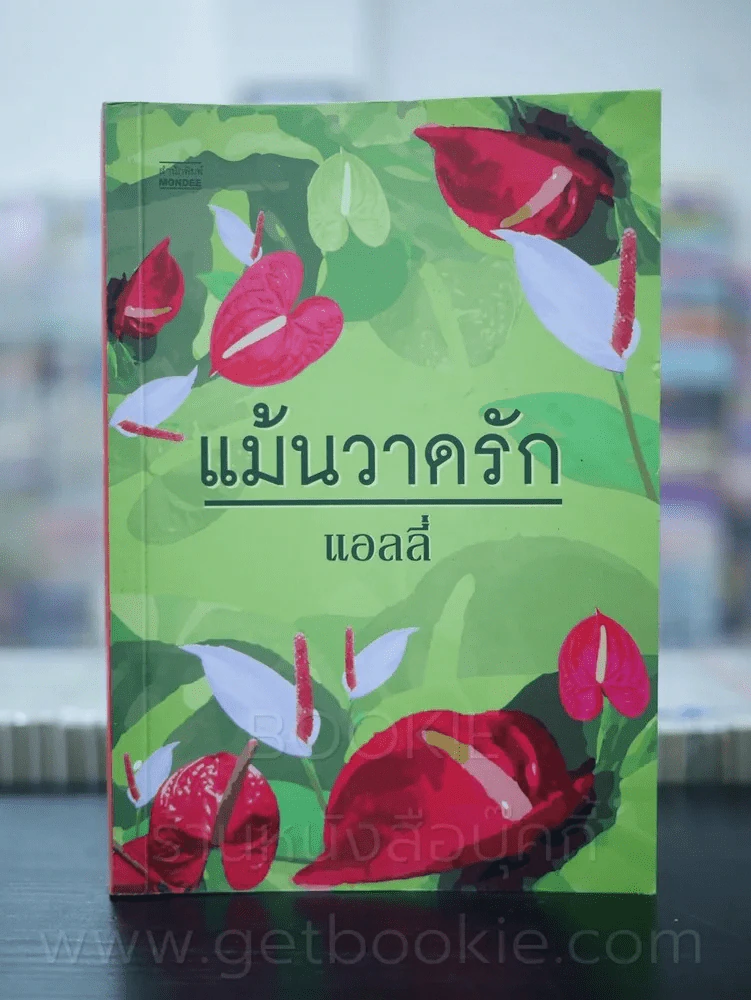แม้นวาดรัก - แอลลี่ รูปที่ 1