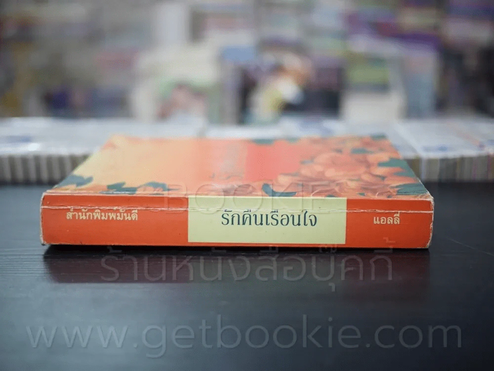 รักคืนเรือนใจ - แอลลี่ รูปที่ 2