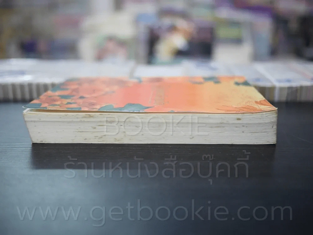 รักคืนเรือนใจ - แอลลี่ รูปที่ 3