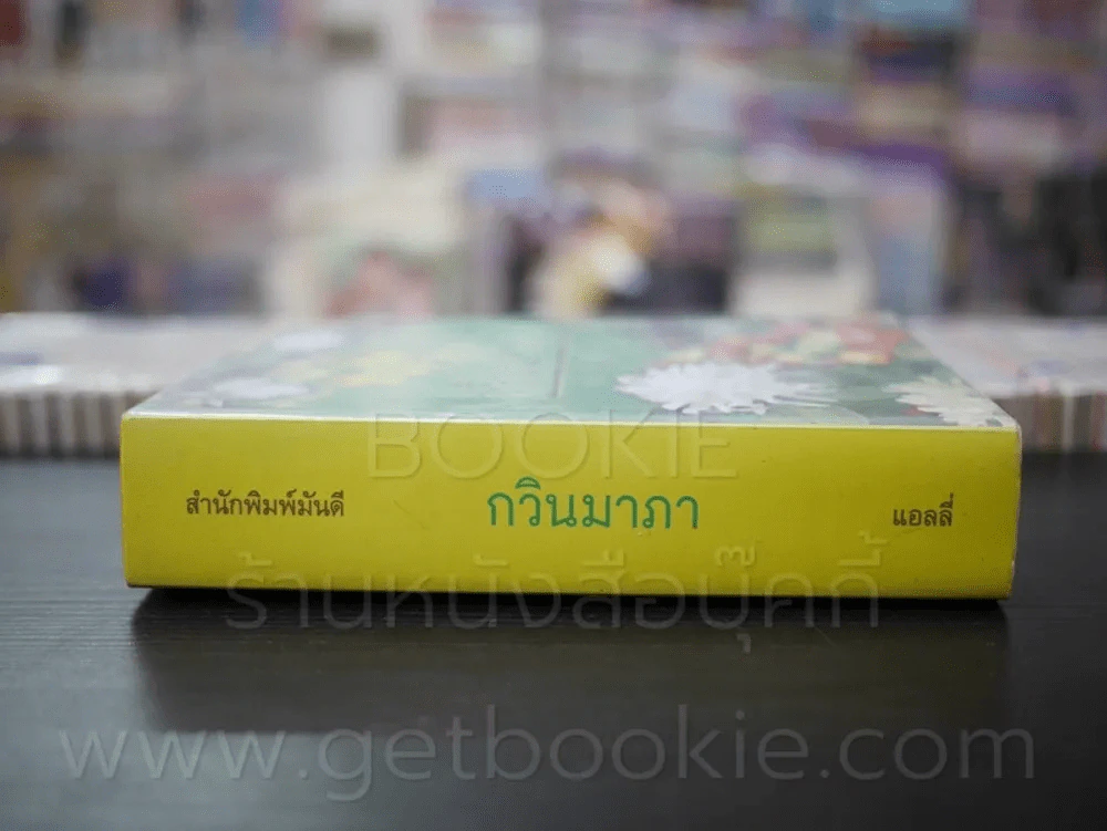 กวินมาภา - แอลลี่ รูปที่ 2