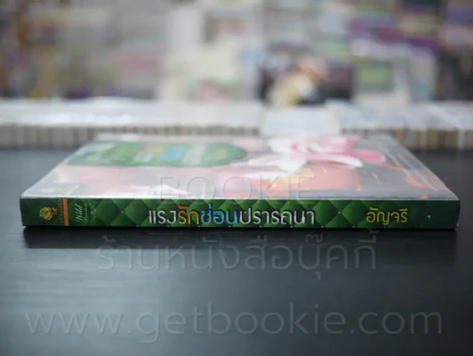 แรงรักซ่อนปรารถนา - อัญจรี รูปที่ 2