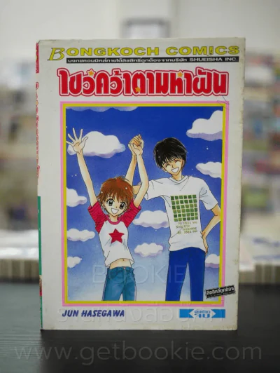 ไขว่คว้าตามหาฝัน รูปที่ 1