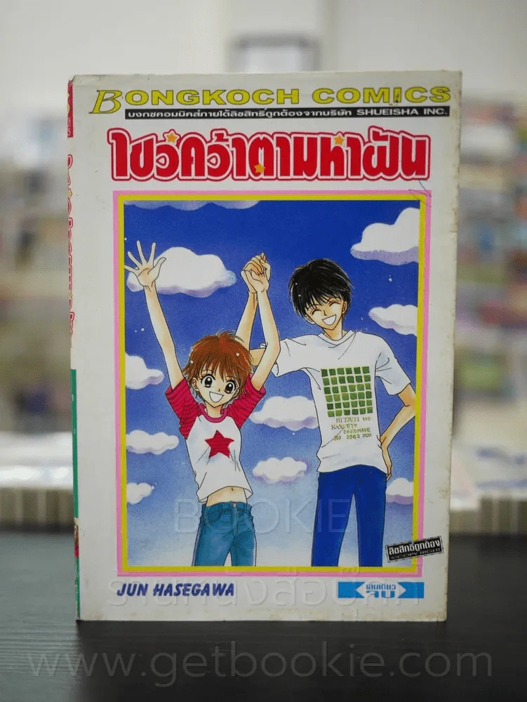 ไขว่คว้าตามหาฝัน รูปที่ 1