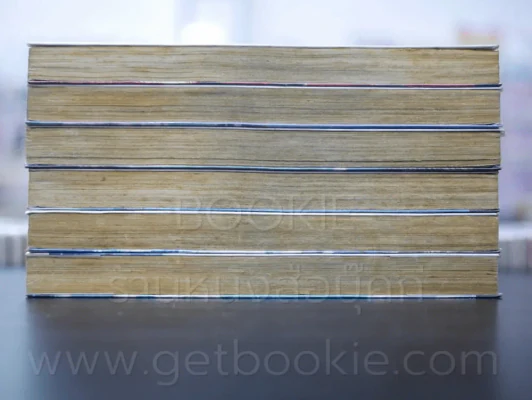 รักวุ่นวายของคุณชายมังกร เล่ม 1-6 รูปที่ 3