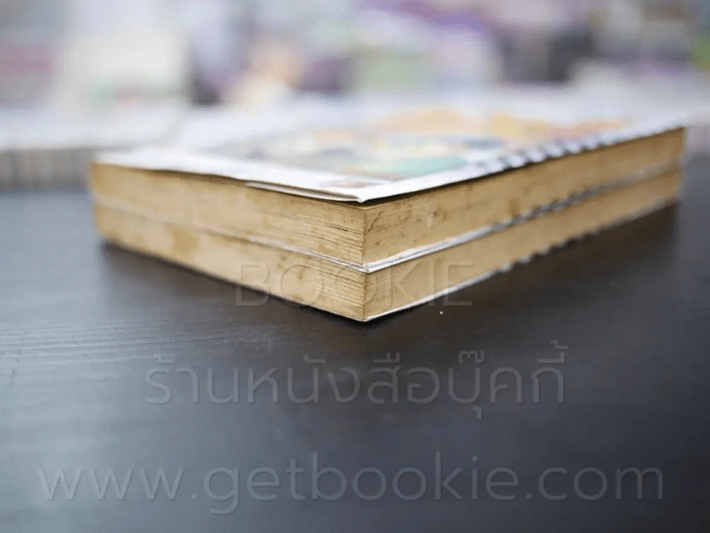 อัศวินทะลุมิติ 2 เล่มจบ รูปที่ 4