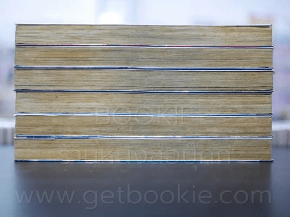 รักวุ่นวายของคุณชายมังกร เล่ม 1-6 รูปที่ 3