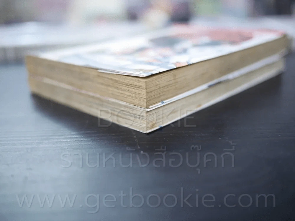 มืออสูรโตโต้ 2 เล่มจบ รูปที่ 4