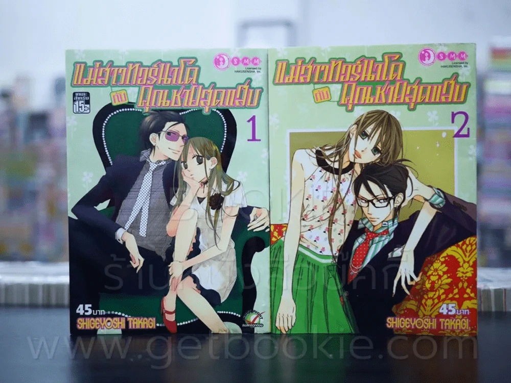 แม่สาวทอร์นาโดกับคุณชายสุดแสบ 2 เล่มจบ รูปที่ 1