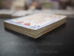 อลิซ นักร้องน้องใหม่เส้นก๊วยจั๊บ 2 เล่มจบ รูปที่ 4
