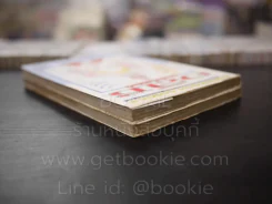 อลิซ นักร้องน้องใหม่เส้นก๊วยจั๊บ 2 เล่มจบ รูปที่ 5