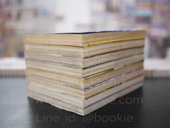 โทงาริ อสูรล่าวิญญาณ 8 เล่มจบ รูปที่ 4