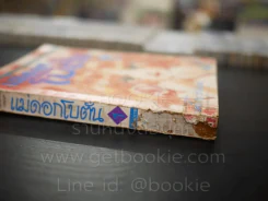 แม่ดอกโบตั๋น 4 เล่มจบ (เล่ม 1-2 สภาพไม่สวยตามภาพ) รูปที่ 6