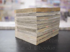 จอมโหดกระทะเหล็ก ภาค R 10 เล่มจบ (ขาดเล่ม 10) รูปที่ 4