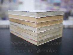 ฤทธิ์ปืนมนตรา เทพธิดาทมิฬ เล่ม 1-7 รูปที่ 5