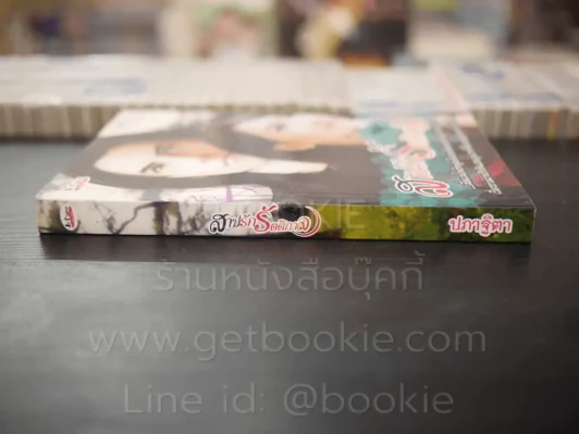 สาปรักรัตติกาล - ปภาฐิตา รูปที่ 2