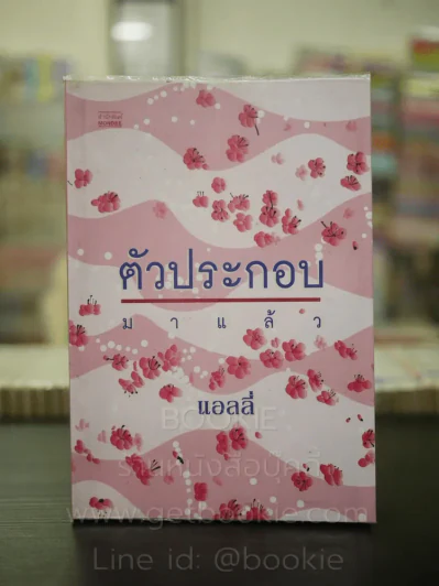 ตัวประกอบ - แอลลี่ รูปที่ 1