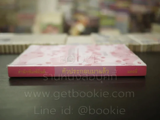 ตัวประกอบ - แอลลี่ รูปที่ 2