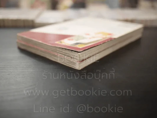 วาดฝันถึงวันสดใส 2 เล่มจบ รูปที่ 4