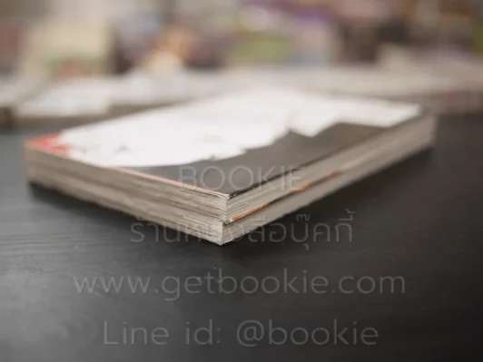 ผู้ส่งวิญญาณ 2 เล่มจบ รูปที่ 4