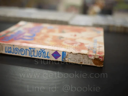 แม่ดอกโบตั๋น 4 เล่มจบ (เล่ม 1-2 สภาพไม่สวยตามภาพ) รูปที่ 6