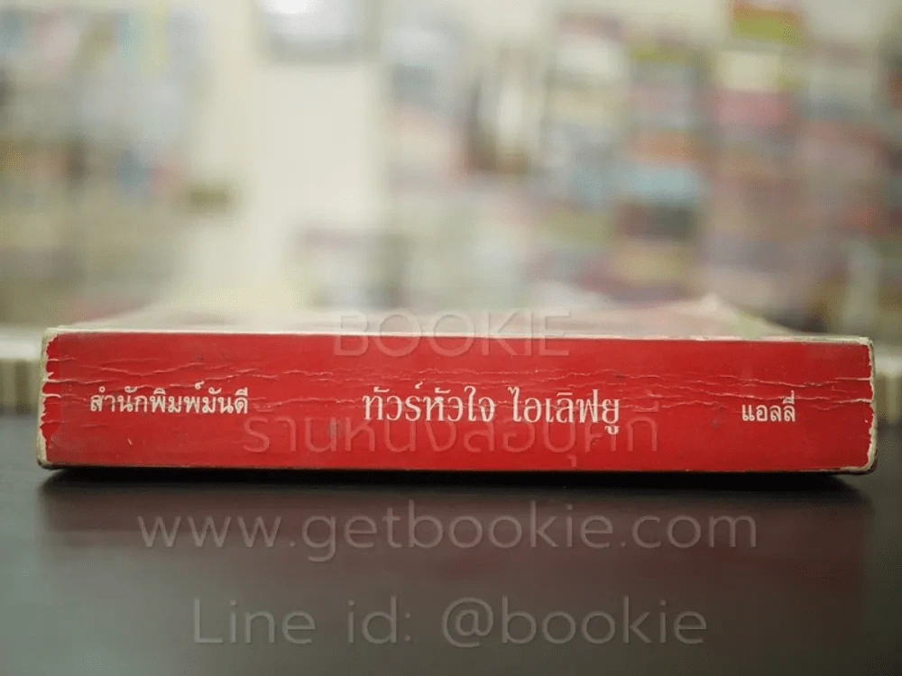 ทัวร์หัวใจไอเลิฟยู - แอลลี่ รูปที่ 2