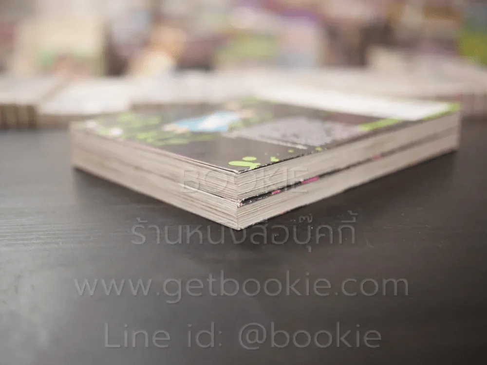 นักล่าวิญญาณ 2 เล่มจบ รูปที่ 4