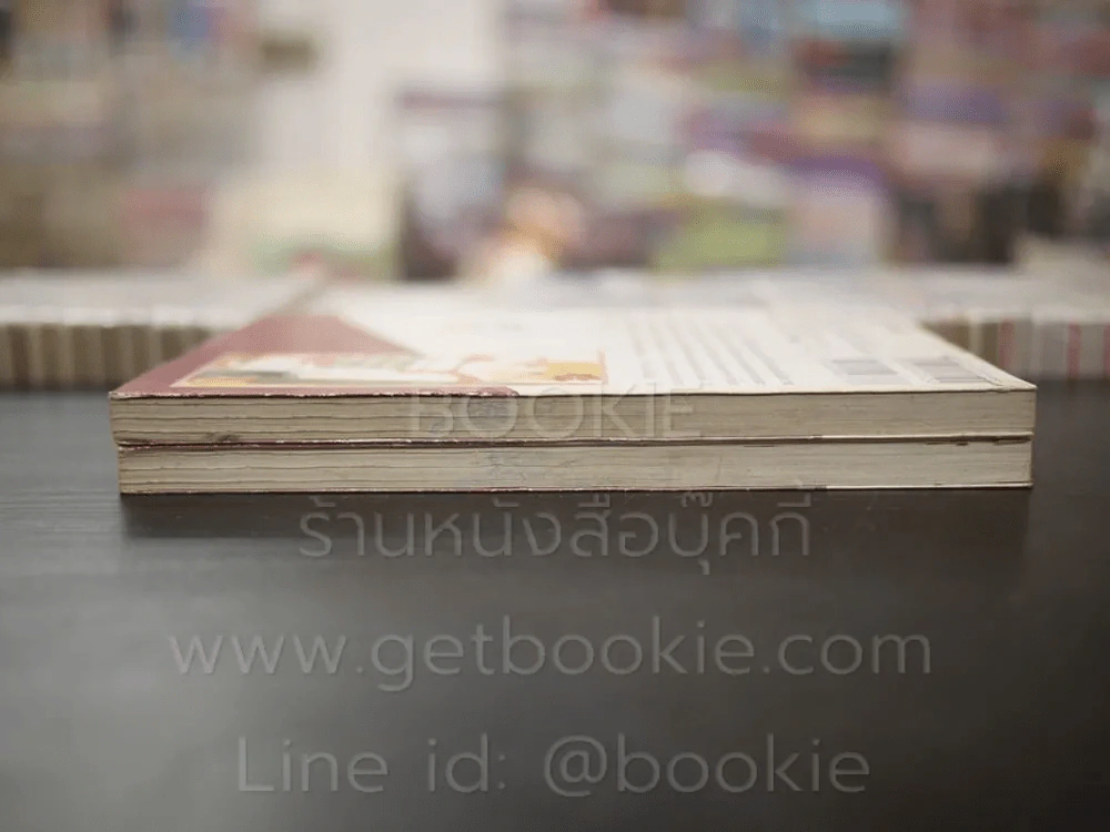 วาดฝันถึงวันสดใส 2 เล่มจบ รูปที่ 3